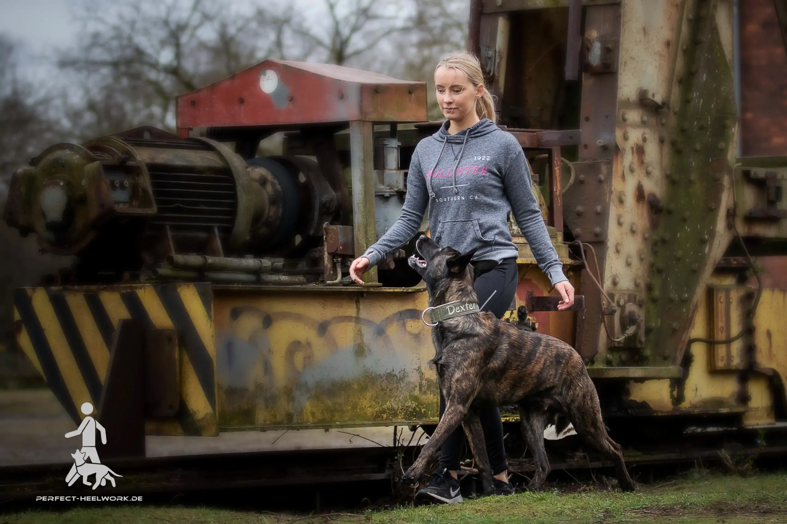 Coaching Kurs- 5/2026, Start 08.09.2026