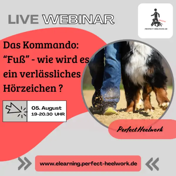 Webinar: Das Kommando "Fuß"- Wie wird es ein verlässliches Hörzeichen? 05. August 2025, 19.00 - 20.30 Uhr