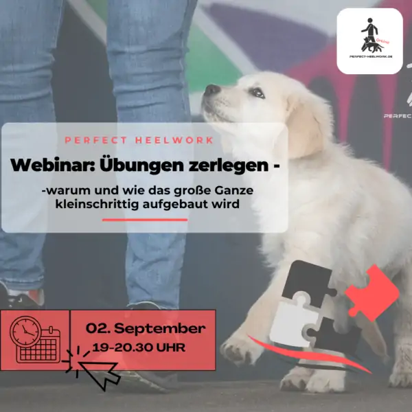 Webinar: Übungen zerlegen - warum und WIE das große Ganze kleinschrittig aufgebaut wird, 2. September 2025, 19.00 - 20.30 Uhr