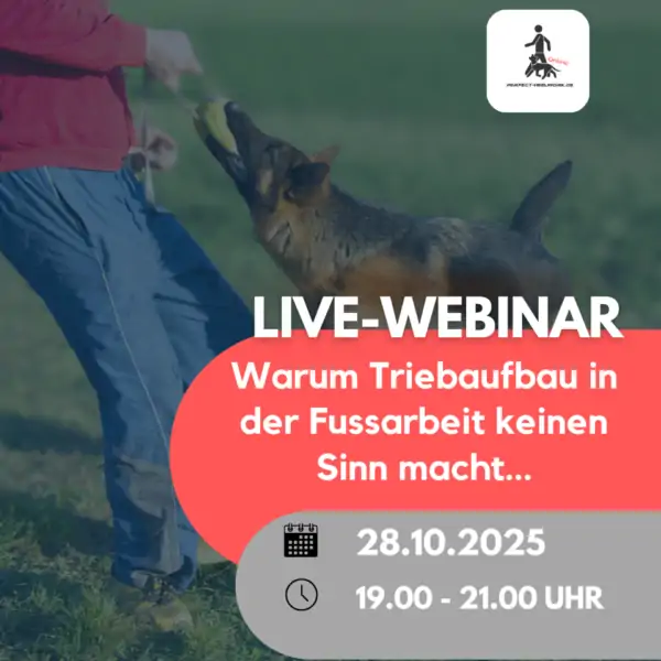 Webinar: Warum Triebaufbau in der Fußarbeit keinen Sinn ergibt, 28. Oktober 2025, 19.00 - 21.00 Uhr