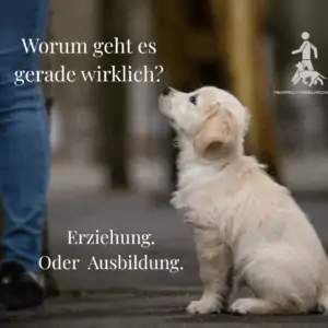 Webinar: Erziehung oder Ausbildung? Warum sich Dein Training manchmal falsch anfühlt 20. Mai 2026, 19.30 - 21.00 Uhr