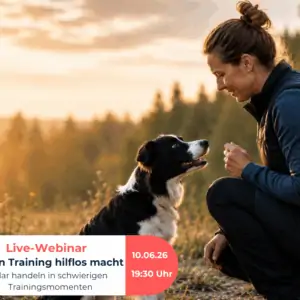 Wenn Training hilflos macht 10. Juni 2026, 19.30 - 21.00 Uhr