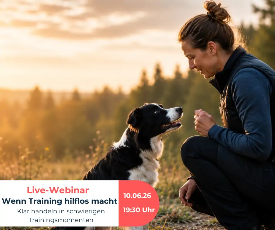 Wenn Training hilflos macht 10. Juni 2026, 19.30 - 21.00 Uhr