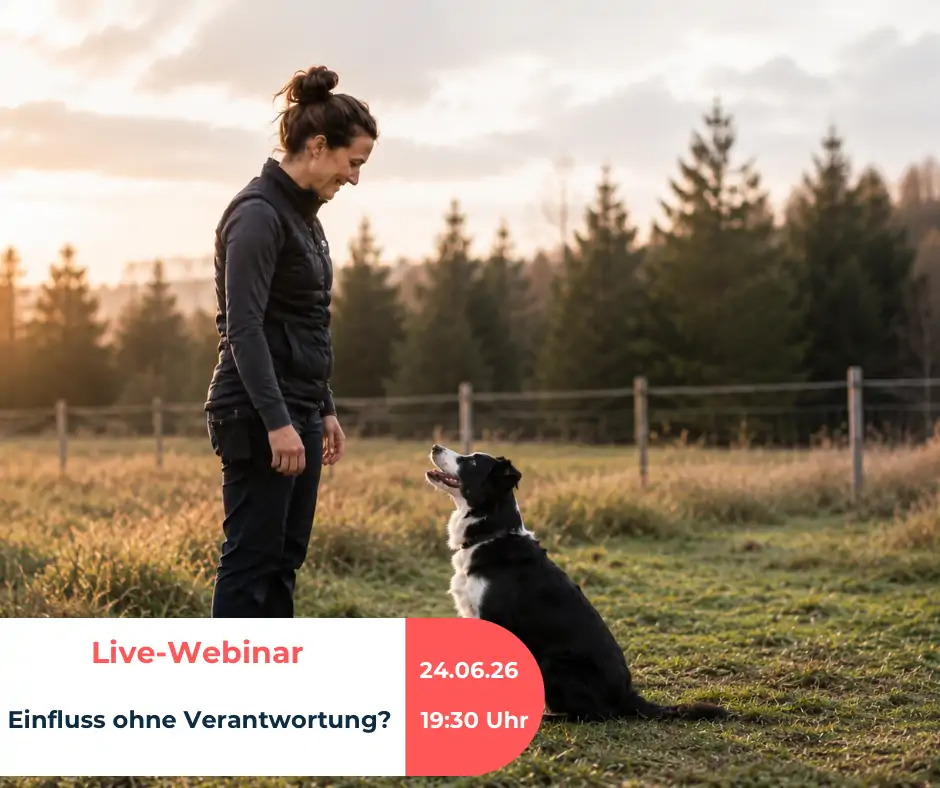Einfluss ohne Verantwortung? 24. Juni 2026, 19.30 - 21.00 Uhr